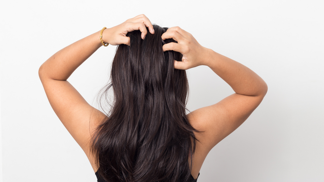 conseils-shampoing-solide