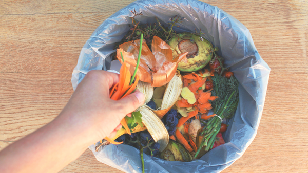 Comment faire un compost et valoriser les déchets organiques ?