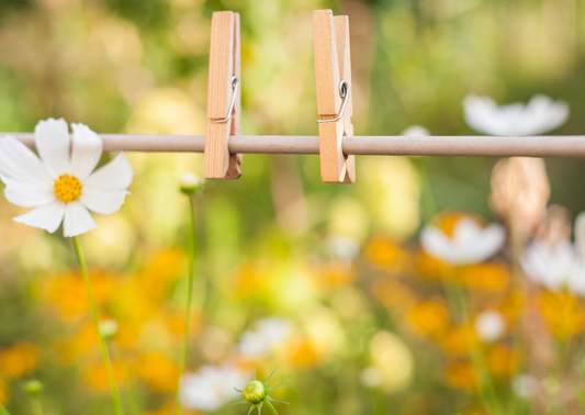 Fabrication de lessive maison avec cendre de bois et eau de pluie