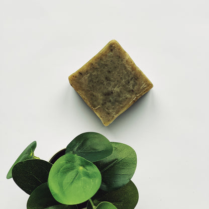 Shampoing Solide à l'ortie naturel bio - Cheveux mixtes à gras